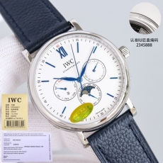 IWC Watches